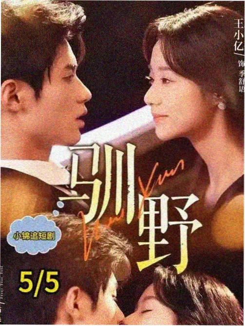 心灵猎手 好看的欧美电视剧